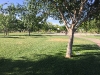 img_4122 img_4122