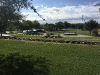 img_4125 img_4125
