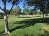 img_4128 img_4128