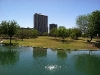 img_3142 img_3142