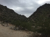 img_7620 img_7620
