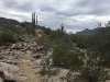 img_7630 img_7630