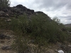 img_7588 img_7588