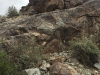 img_7590 img_7590
