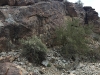 img_7591 img_7591
