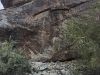 img_7593 img_7593