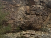 img_7594 img_7594